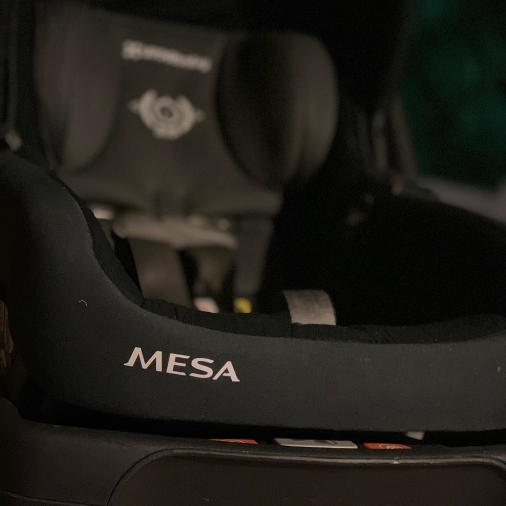 UPPAbaby Infant Car Seat